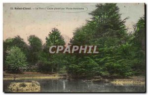 Postcard Old Saint Cloud Park by Marie Antoinette Plante Cedre