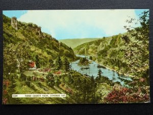 Monmouthshire SYMONDS YAT Three County View c1950s Postcard by Harvey Barton
