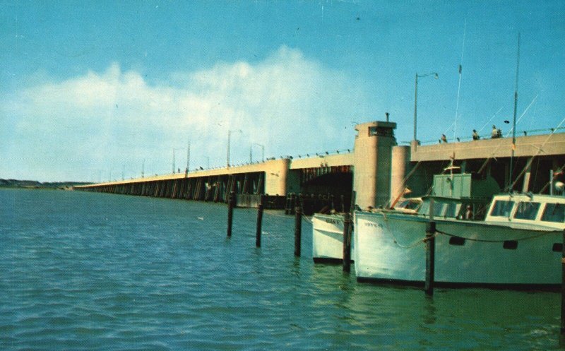 Vintage Postcard New Dual Highway Bridge Sinepuxent Bay Ocean City Maryland MD