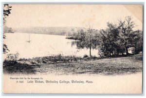 View Of Lake Waban Wellesley College Massachusetts MA Rotograph Antique Postcard