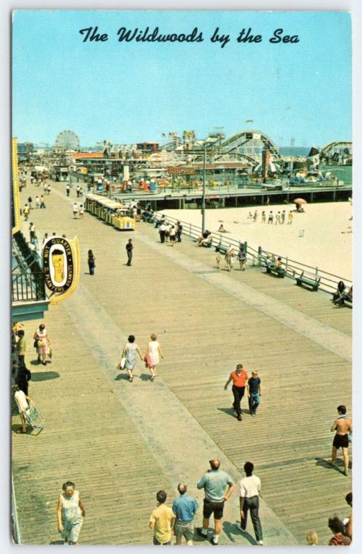 1974 WILDWOOD NJ ROLLER COASTER FERRIS WHEEL PLANTER'S PEANUT SIGN POSTCARD