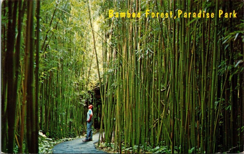 Winding Walkway Bamboo Tree Forest, Paradise Park Hawaii Postcard DB Unused PM 