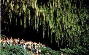 Fern Grotto Tropical Jungle Garden Island Kauai Hawaii Vintage Postcard