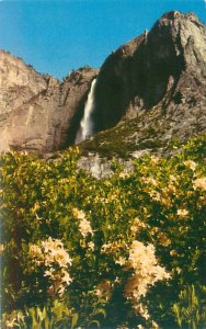 Yosemite Park California Yosemite Falls & Azalea Flowers Chrome Postcard