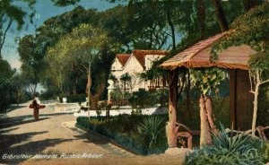 Gibraltar Alameda Rustic Arbour Vintage Postcard 08.52