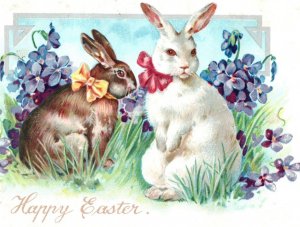 C. 1905 White Brown Rabbit Raphael Tuck Adorable Easter Vintage Postcard P215