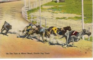 US    PC1172 MIAMI DOG TRACK