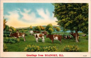 Postcard IL  Roanoke - Greetings from - Cows in field - NYCE landscape