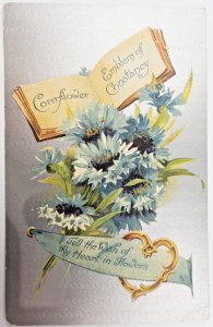 Antique Postcard B S London 1910s Silver Foiled CORNFLOWER EMBLEM OF CONSTANCY