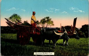 Vtg Rangoon Burma Burmese Buffalo Cart Wagon Asia Postcard