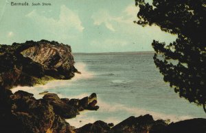Bermuda South Shore Vintage Postcard 03.72