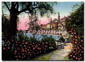 Menton Old Postcard The old town through the olive trees