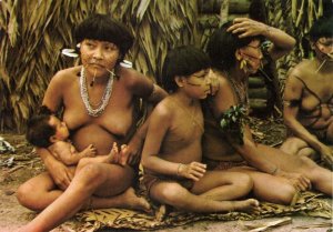 brazil, Roraima, Native Ianomani Indian Women, Piercing (1980s) Postcard