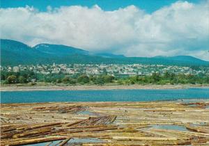 Canada Vancouver Island Log Pond