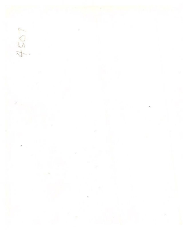 Woman Model,  Vintage Photo