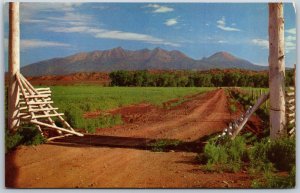 Vtg Colorado CO Mount Blanca & Mount Baldy View 1950s Old Chrome Postcard