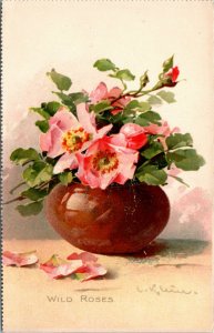 Postcard Raphael Tuck - Wild Roses Artist Signed C. Klein No. 2564 C.1907 A12