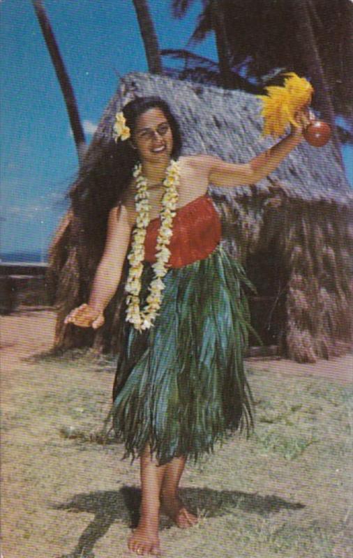 Hawaii Beautiful Hula Dancer