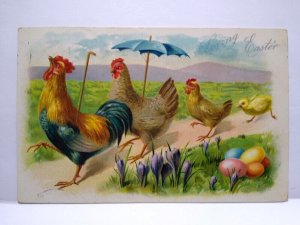 Easter Postcard Anthropomorphic Hens Rooster Marching Umbrella Tucks Series 111 