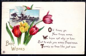 Best Wishes Tulips Windmills BIN