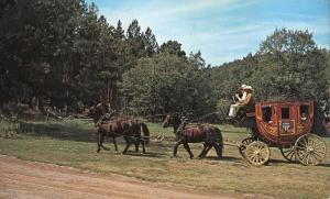 Stage Coach Lines & Horse Rides Rockerville Black Hills SD South Dakota pm 1973