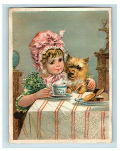 1880's Dwinell Hayward Royal Java Coffee Children Cat Dog Lot Of 5 P193 