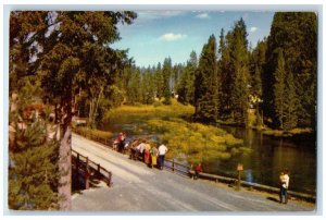 Big Springs Idaho ID Postcard Island Park Village Fishermen Columbia River c1960