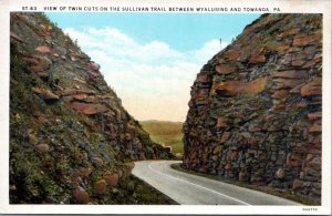 Postcard PA Twin Cuts Sullivan Trail between Wyalusing and Towanda