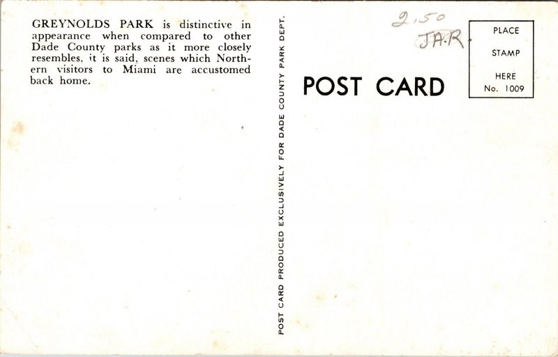 Greynolds Park Dade County Miami Florida Canoes Scenic Chrome Postcard 