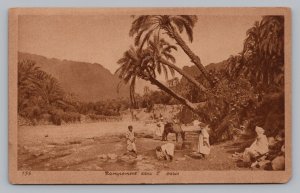 Egypt Campement Dans Oasis, Lehnert & Landrock, Sepia Postcard  P4