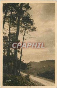 Old Postcard The Landes de Gascogne Sunrise in Forel La Douce Frane