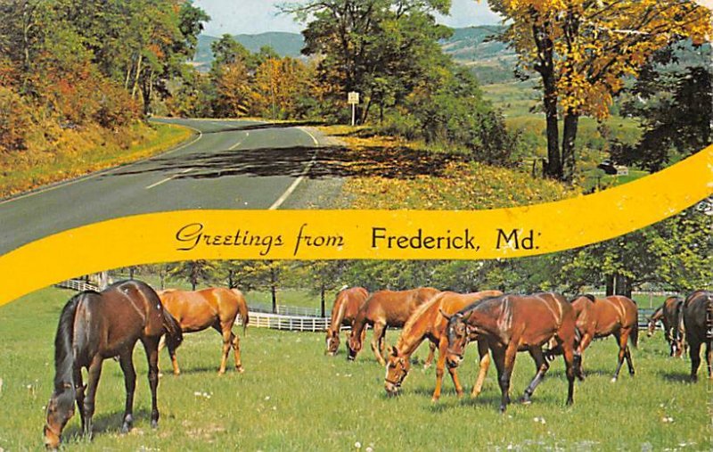 Greetings from Frederick Greetings from, Maryland MD