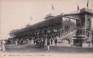 Deauville Les Tribunes Horse Racing French Winning Line Postcard