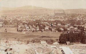 RPPC Sunnyside Arcadia Pretoria South Africa c1910s Real Photo Vintage Postcard