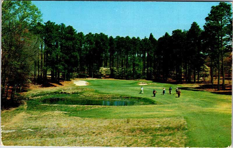 POSTCARD SCENE Pinehurst North Carolina NC AM4749