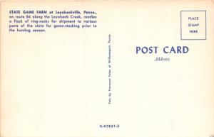 LOYALSOCKVILLE PA STATE GAME FARM~RING-NECK PHEASANTS FOR STOCKING POSTCARD 1960 