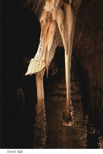 Vintage Postcard Lion's Tail Cave Popcorn Carlsbad Caverns National Park NM