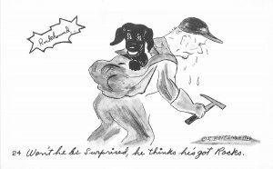 Postcard California San Jose 1966 Rockhound Dog Lapidary Comic humor 23-7781