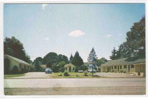 City Center Motel US 99 Junction City Oregon postcard