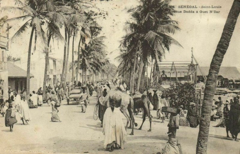 CPA AK Sénégal - Fortier 364 - Saint-Louis - Avenue Dodds (84556)