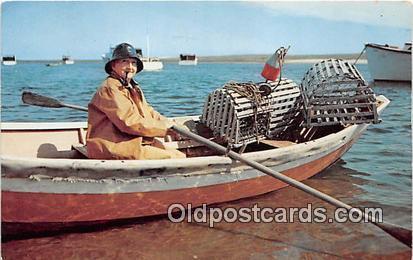 Lobsterman Fisherman Cape Cod, Massachusetts Postcard Post Card Cape Cod, Mas...