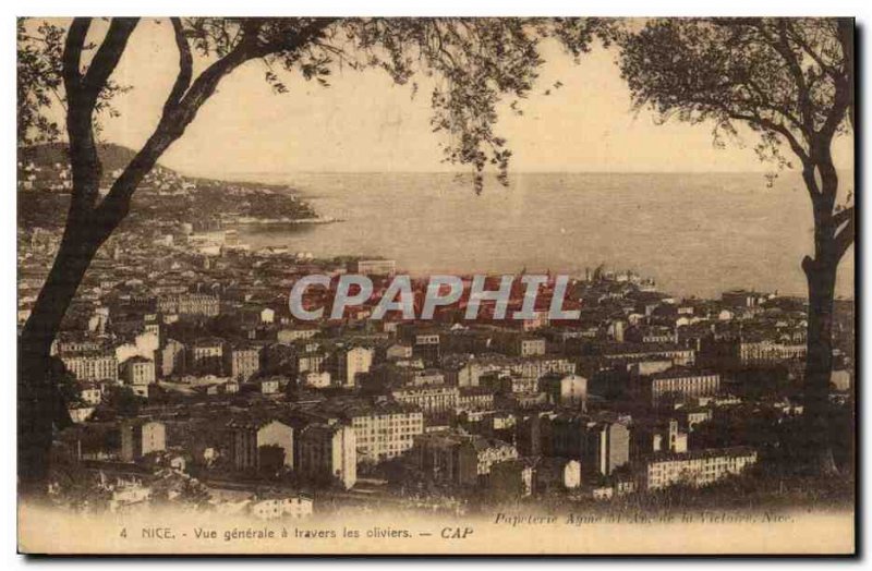 Nice Old Postcard General view through the olive trees