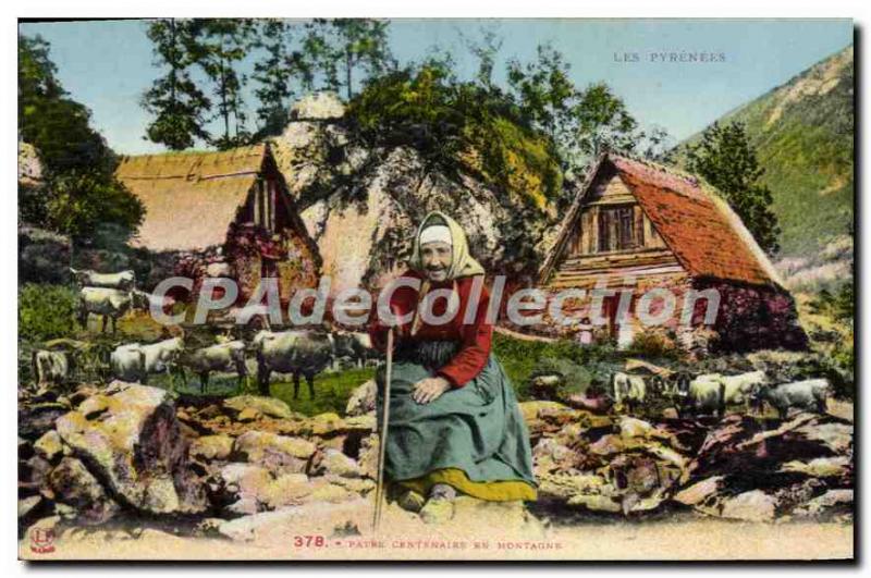 Postcard Old Patre centennial Mountain