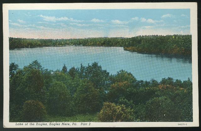 PA Eagles Mere Lake of the Eagles Vintage Curteich  C Postcard ca 1920's