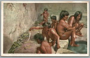 NATIVE AMERICAN HOPI KIVA SNAKES VINTAGE POSTCARD