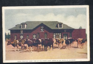 COLORADO SPRINGS COLORADO UNION PRINTERS HOME DAIRY CATTLE VINTAGE POSTCARD