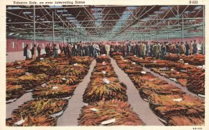 Vintage Postcard Tobacco Sale an Ever Interesting Scene Dried Leaves Plants