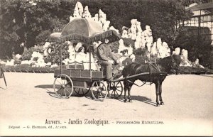 Belgium Anvers Jardin Zoologique Promenade Enfantines