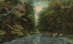 Vintage Postcard 1911 Bronx River Bronx Public Park New York City Hidden Gem