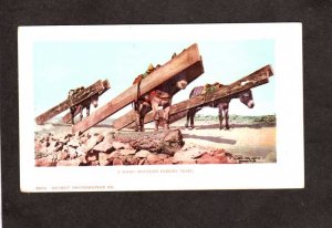 Rocky Mountain Freight Train Mules Carrying Boards UDB Postcard